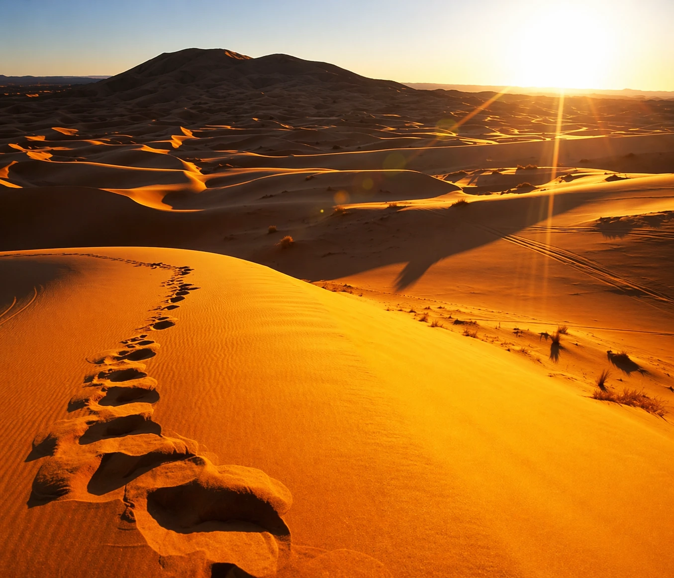 Sahara Desert Tours